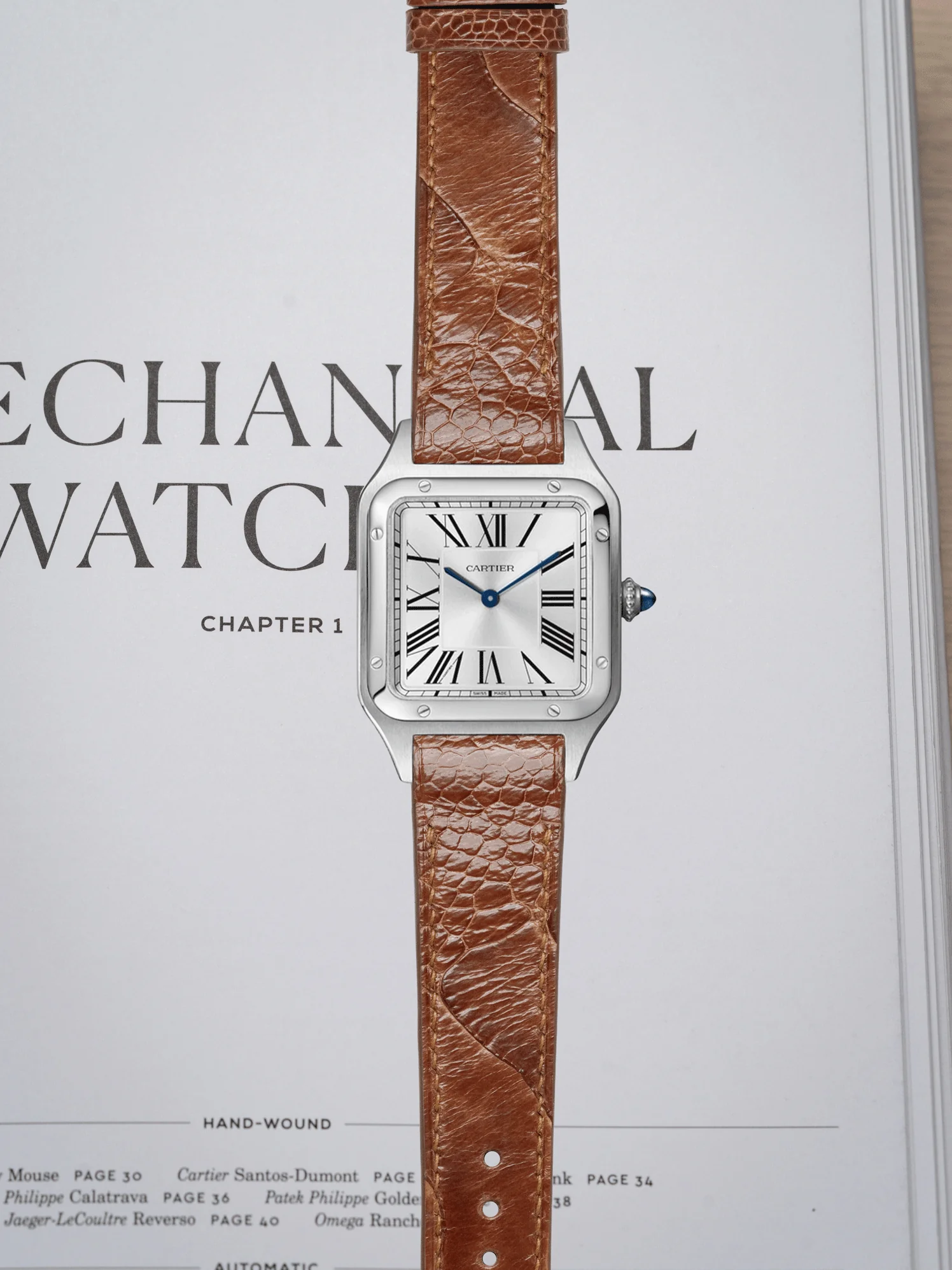 MTO Ostrich Leather Strap in Brandy for Cartier Santos Dumont - Image 2