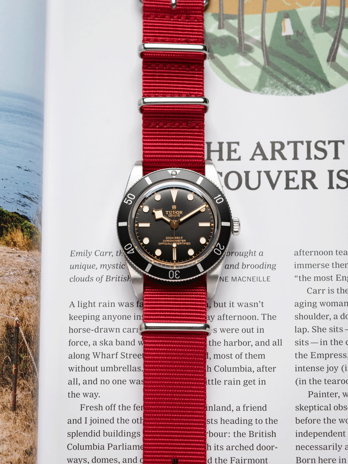 Premium Nato Strap in Red - Image 2
